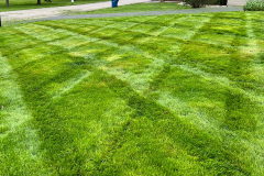 beautiful-lawn-new-castle-pa-2