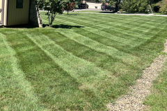 beautiful-new-castle-lawn-mowing-cutting